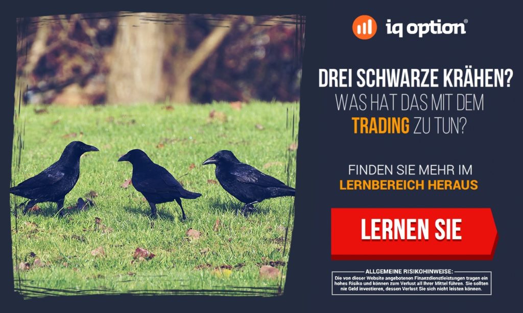 Im Lernbereich neues Wissen aneignen.